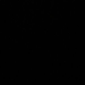 Meet your Posher, Bree